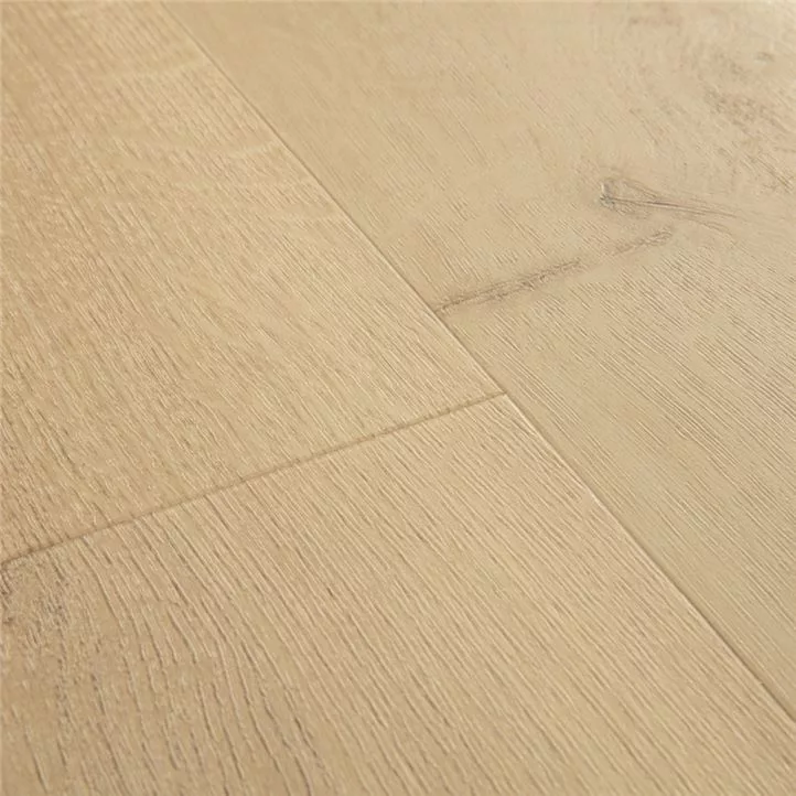 AVMP40236 botánico gris