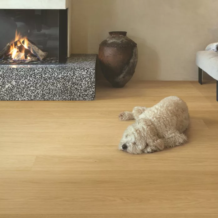 CAL6029 Quick Step parquet flotante tarima